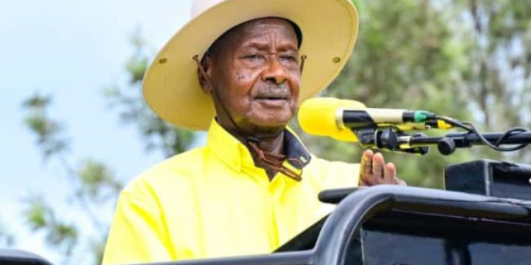 Sebei, Bugisu Communities to Be Restocked – Museveni