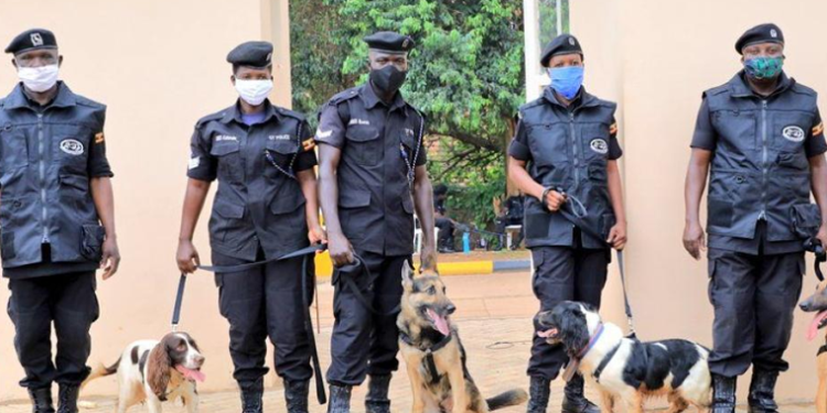 Home Bred Sniffer Dogs Helping Uganda to Save Billions in Policing