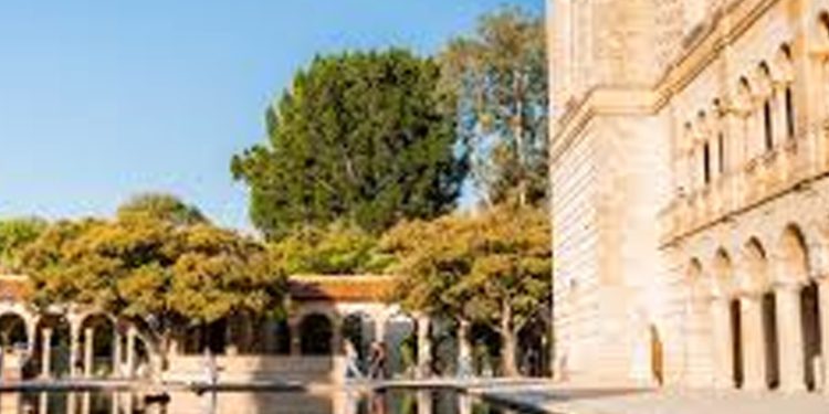 UWA Investigates Death of Three Lions At Queen Elizabeth NP