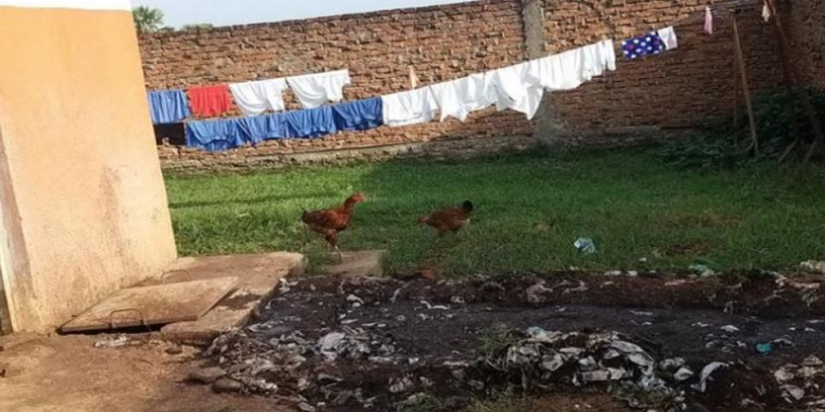 Girls Missing School as Heat Worsens Period Poverty