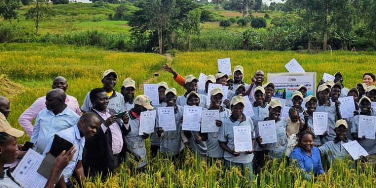 From Technology to Food on the Table: How AI Could Reshape Agriculture in Uganda
