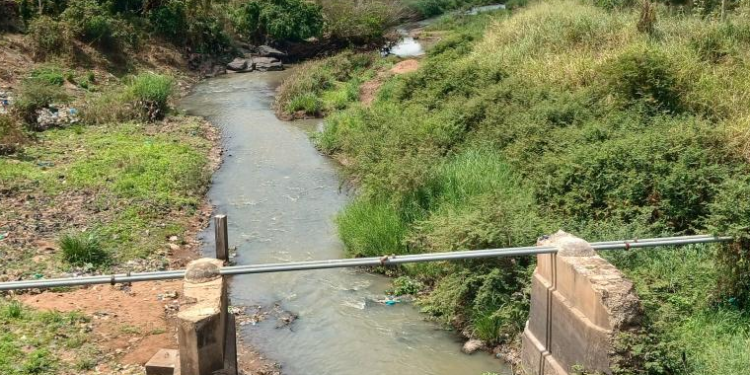 Expensive Fish Feed, Drought Drive Kitgum Farmers Out of Aquaculture