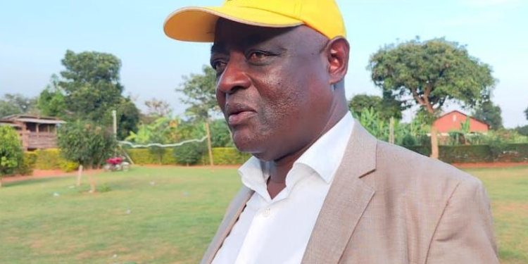 Winners and Losers in Local Government Polls