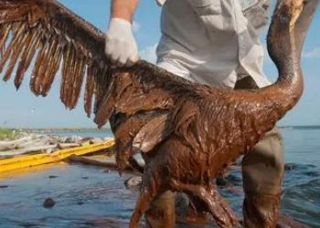 Oil Spill Counter-Plan Behind Schedule Due to Underfunding – Gov’t Audit 