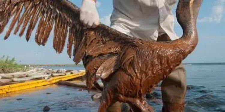 ‎Oil Spill Counter-Plan Behind Schedule Due to Underfunding – Gov’t Audit ‎