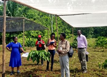 APCCO Coffee Agroforestry Project Training, Research and Community Outreach Activities Report