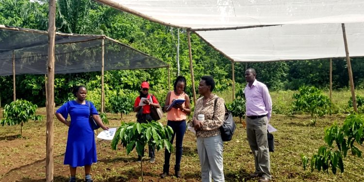 APCCO Coffee Agroforestry Project Training, Research and Community Outreach Activities Report