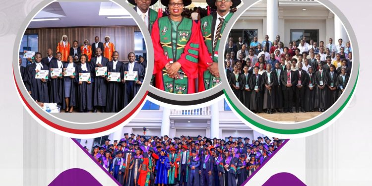 School of Law Annual Report 2025