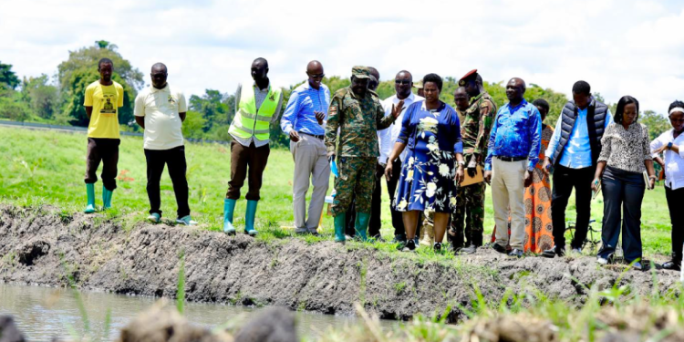 President Museveni’s Fish Farming Drive Praised as Bold Solution to Poverty and Wetland Degradation in Pallisa