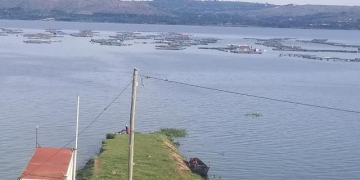 Sudds Destroy Fish Cages In Jinja, Farmers Counting Heavy Losses