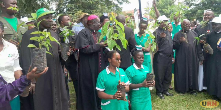 Kasese Catholic Diocese Launches Martyrs Memorial Forests