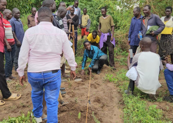 Alebtong Launches Major Forest Restoration Drive, Plants Over 20,000 Trees