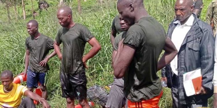 Six More Survivors of River Nguse Boat Tragedy Emerge from Bugoma Forest