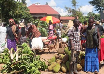 Over 500 Luwero Vendors Set Up New Market After Forced Eviction