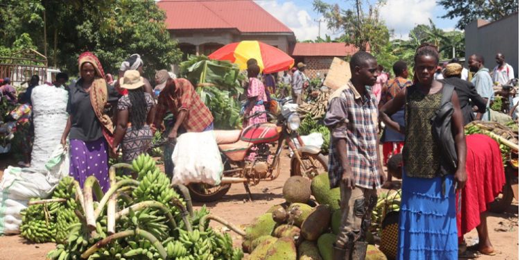 Over 500 Luwero Vendors Set Up New Market After Forced Eviction