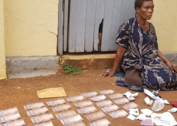 Woman In Custody Over Circulating Fake Dollars
