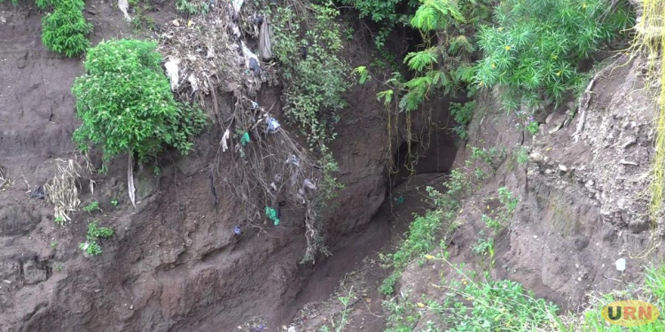 Gully Eruption Threatens Hundreds of Homes in Kasese Municipality