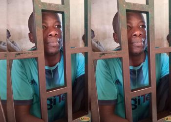 Journalist Implicated in Fake News Against First Lady Granted Bail