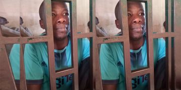 Journalist Implicated in Fake News Against First Lady Granted Bail