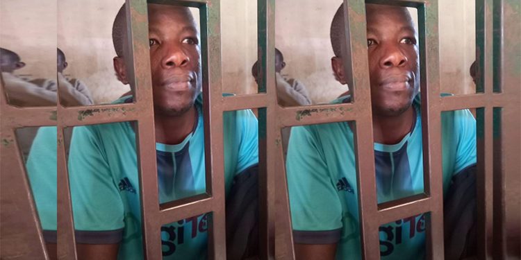 Journalist Implicated in Fake News Against First Lady Granted Bail