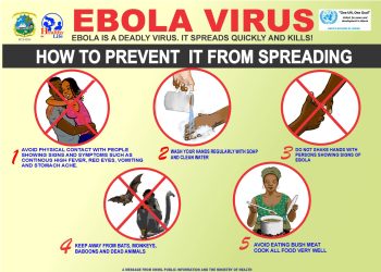 246 suspected cases and 65 deaths reported in latest Ebola outbreak in DRC