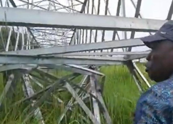 MP Olanya Fires Back at Energy Ministry Over Collapsed Electric Poles