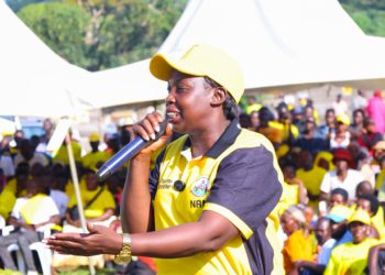 Minister Migadde to Kalangala: No one has stopped fishing, use proper gears