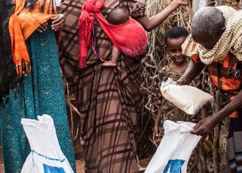 Refugee Livelihood Programme Reduces Extreme Poverty in Uganda, Ethiopia – New Study
