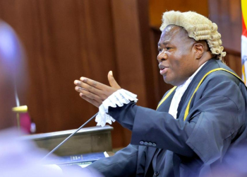 Parliament Presses Government Over Rising Mob Violence