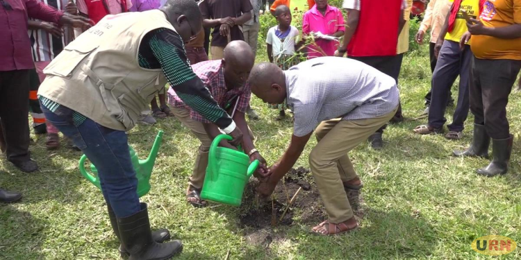 Flooding and River Diversion Threaten Nyabubare Village in Kasese District