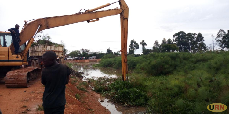 Poor Disposal Of Aquatic Weeds Stirs Controversy At Kalungu Landing Site