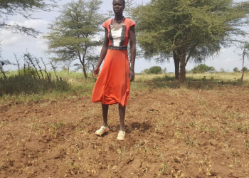 Dry Spell Drives Karamoja Families Off Farms to Mines