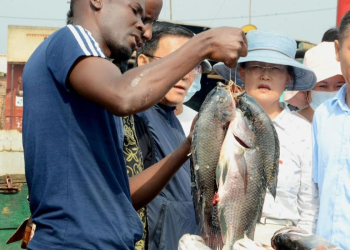 Global Aquatic Animal Trade Hits Record $184 BN Amid Sustainability Concerns