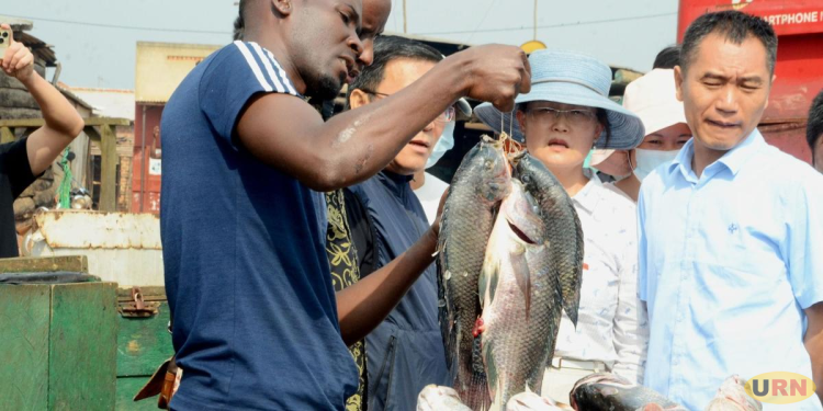 Global Aquatic Animal Trade Hits Record $184 BN Amid Sustainability Concerns