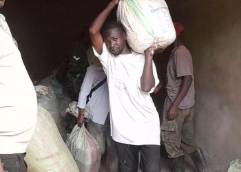Security Impound Six Tonnes of Immature Fish at Mpondwe Border