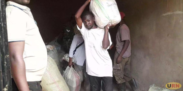 Security Impound Six Tonnes of Immature Fish at Mpondwe Border
