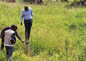 Gulu City, Uganda Lands Commission Clash Over Planned Allocation of Protected Wetland