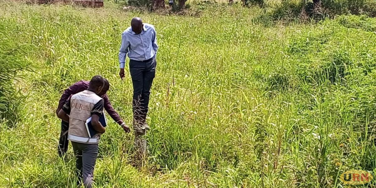 Gulu City, Uganda Lands Commission Clash Over Planned Allocation of Protected Wetland