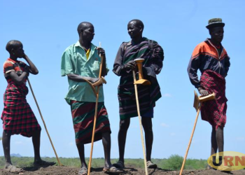 Revenge Cattle Raids Resurface in South Karamoja As Leaders Warn Of Escalation
