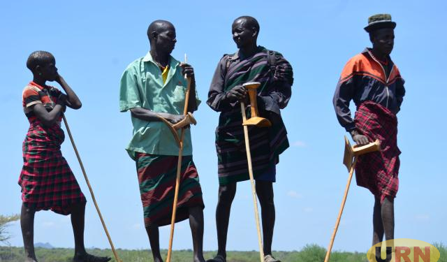 Revenge Cattle Raids Resurface in South Karamoja As Leaders Warn Of Escalation
