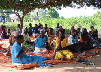 Kole Widows Decry Rising Theft Amid Persistent Land Disputes
