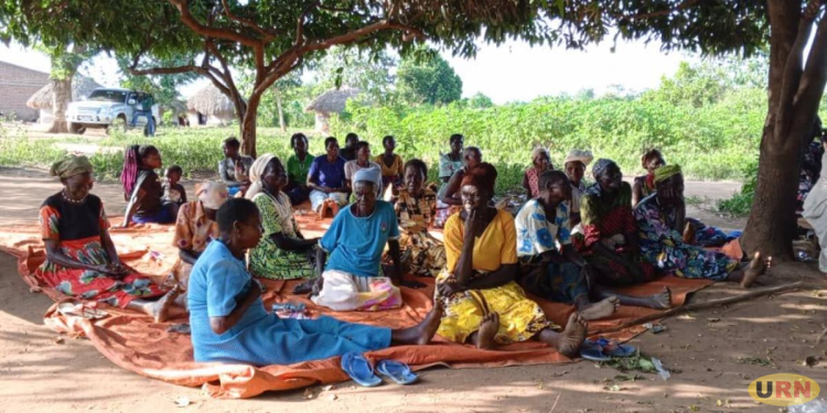 Kole Widows Decry Rising Theft Amid Persistent Land Disputes