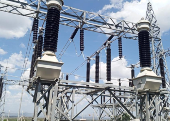 When Villagers Steal Power: Why Government Should Decentralize Rural Electrification