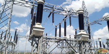 When Villagers Steal Power: Why Government Should Decentralize Rural Electrification