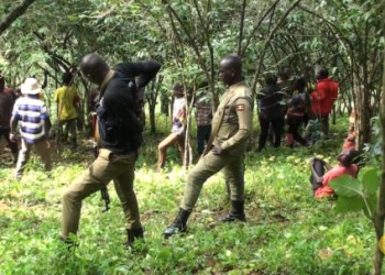 Bududa Residents in Shock After Minor is Found Murdered in Coffee Plantation