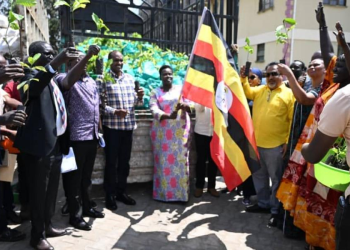 Teso Gets 80 Million Coffee, Cocoa Seedlings in Poverty Fight