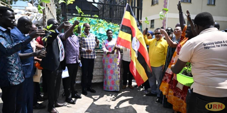 Teso Gets 80 Million Coffee, Cocoa Seedlings in Poverty Fight