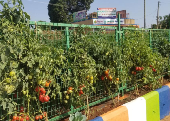 Farmers Urged to Adopt Modern Technologies to Boost Production
