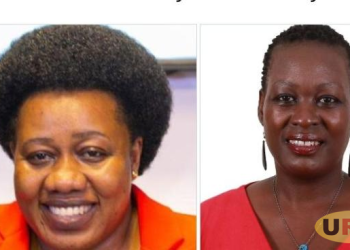 Why Security Arrested, Released Lawyers Bireete, Musiime