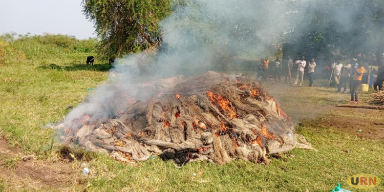 UPDF Destroys Illegal Fishing Nets Worth UGX1.8 Billion in Kwania